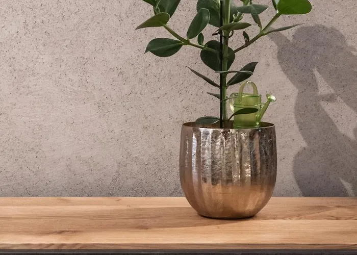 Glanz & Glory Casa de hóspedes 3*